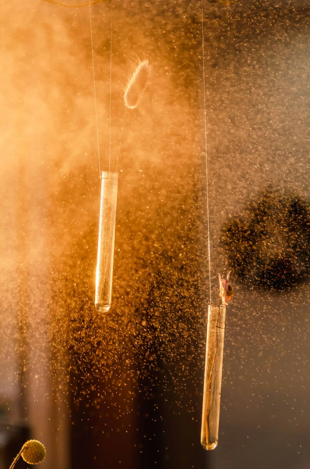 Energetic materials in laboratory vials